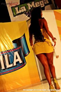 Foto 189 de Chicas Car Audio 2012 - Cenfer Bucaramanga en Chicas Car Audio 2012, Bucaramanga