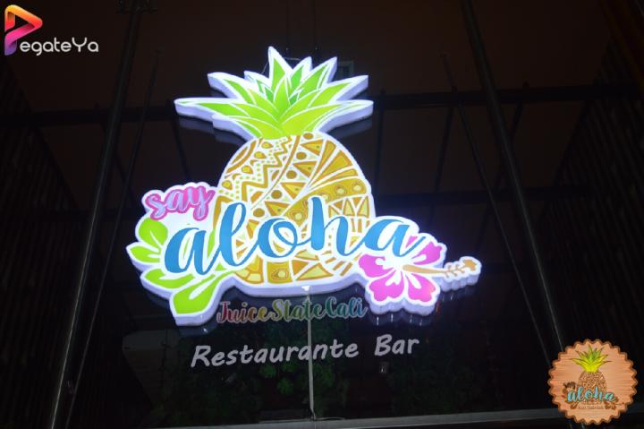 Foto 7 de Aloha Say State - 2do FDS Julio 2016 en Aloha Say State