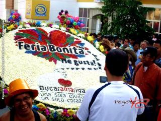 Foto 41 de Carrozas feria de Bucaramanga 2012 en Carrozas feria de Bucaramanga 2012, Bucaramanga